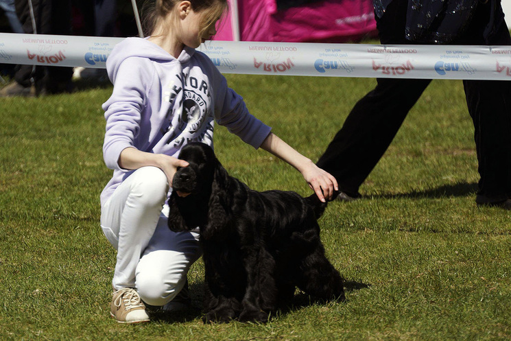 CAC Dobre Miasto 2013