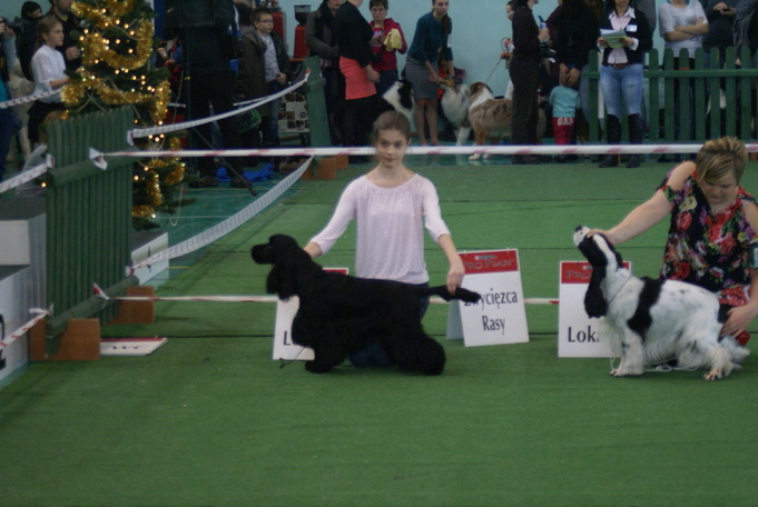 CAC Dwór Mazowiecki 2012