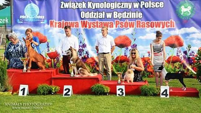 CAC Będzin - 9.08.