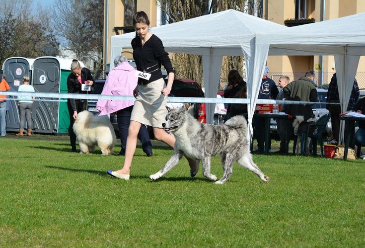 CAC Grudziądz - 16.04.