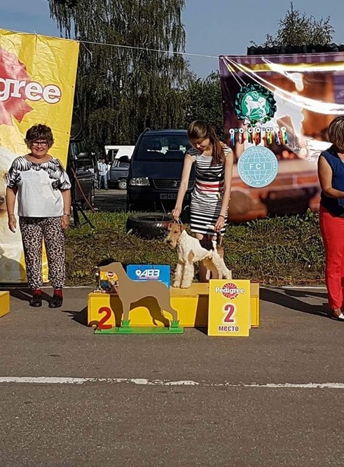 CAC Kaliningrad - 31.07.