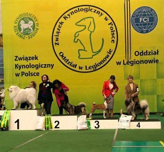 CAC Nowy Dwór Mazowiecki - 10.12.