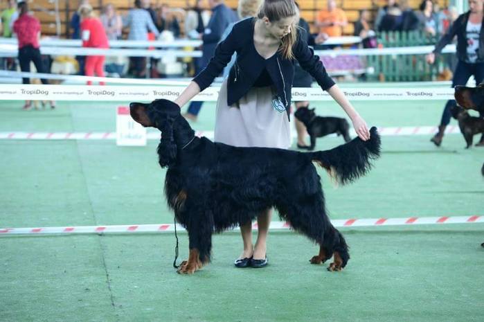 CAC Nowy Dwór Mazowiecki - 12.04.