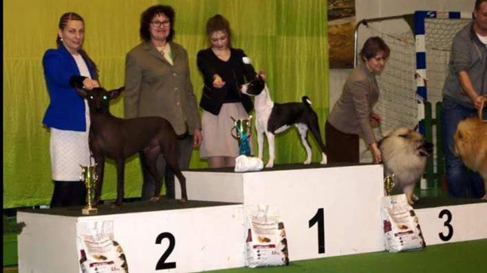CAC Nowy Dwór Mazowiecki - 13.12