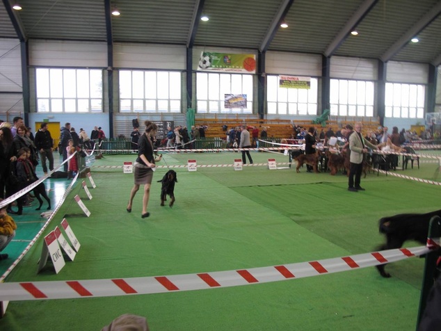 CAC Nowy Dwór Mazowiecki - 29.11.