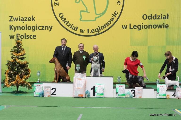 CAC Nowy Dwór Mazowiecki - 4.12.