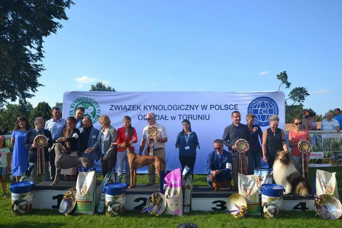 CAC Toruń - 15.08.