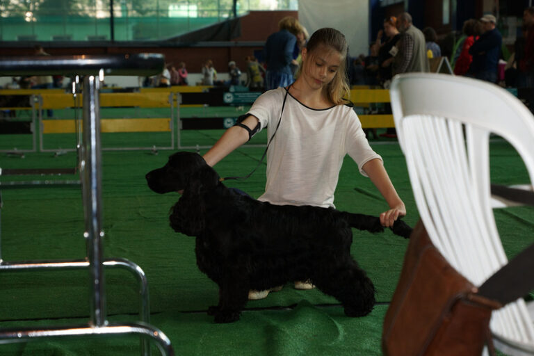 CACIB BIAŁYSTOK 2013