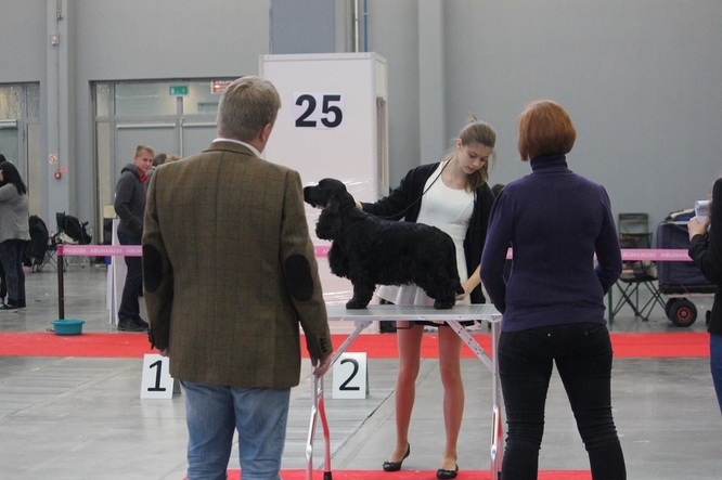 CACIB Kielce - 9.11