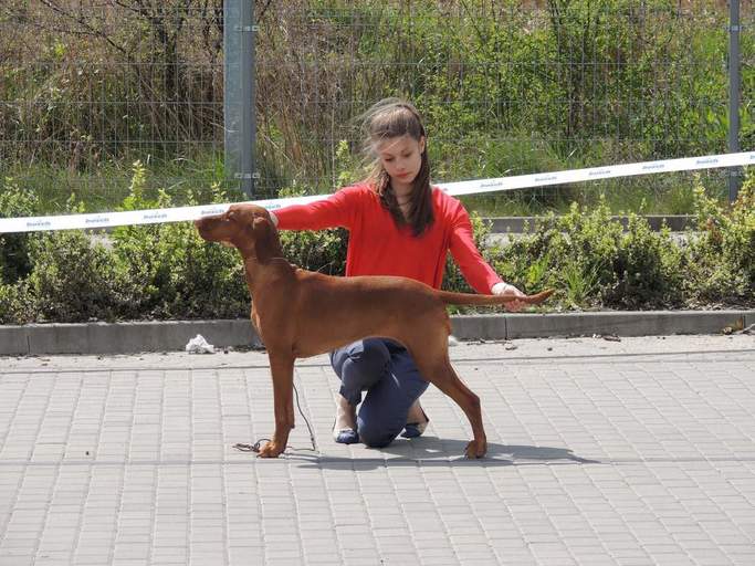 CACIB Opole - 23.04.