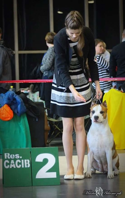 CACIB Poznań - 8.11