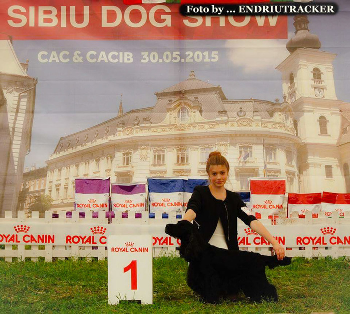 CACIB Sibiu - 30.05.