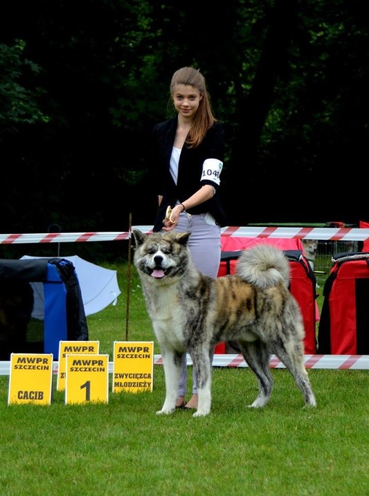 CACIB Szczecin - 27.06