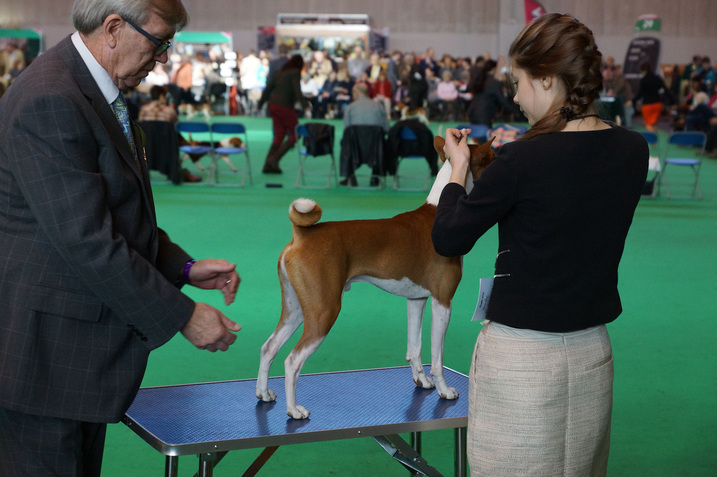 CRUFTS Birmingham - 13.03.