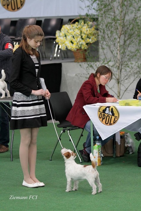 Klubowa Terrierów - 24.04.
