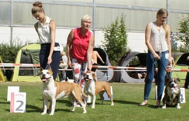 Klubowa Terrierów Białystok - 29.08.