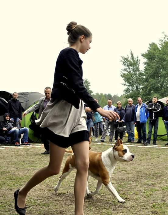 Klubowa Terrierów Typu Bull Warszawa - 13.09