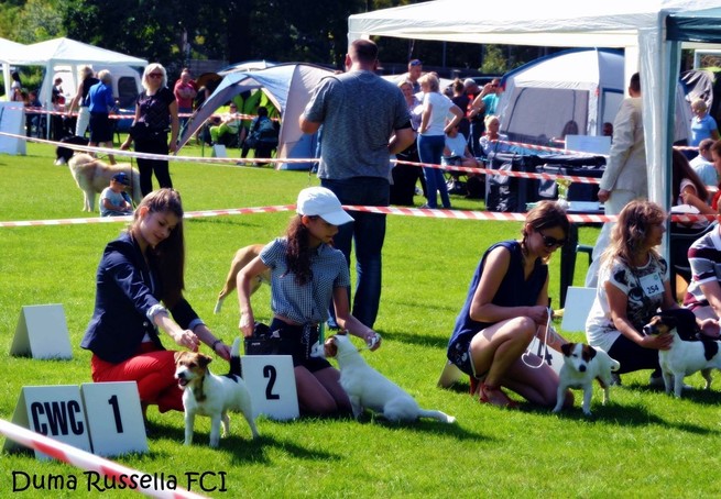 cac płock 26.08