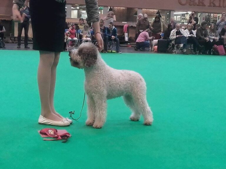 crufts birmingham